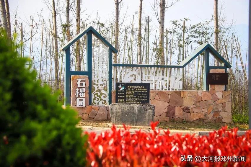 新密城关镇美丽乡村,河南郑州打造美丽乡村
