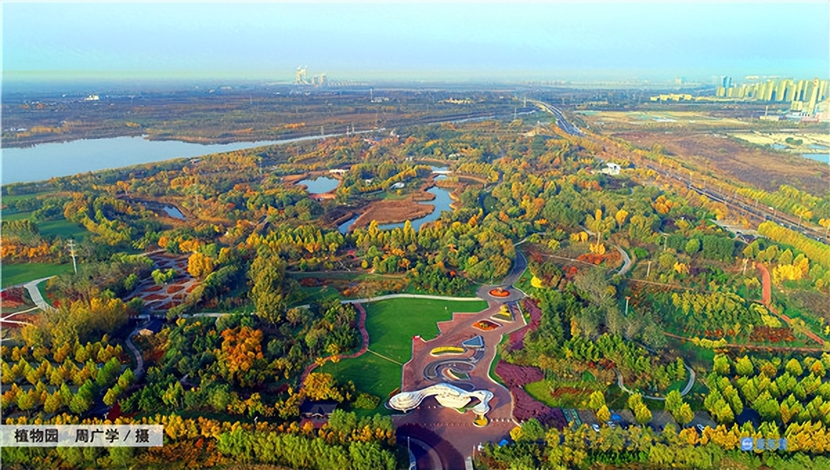 山东东营五一旅游,山东东营五一好去处