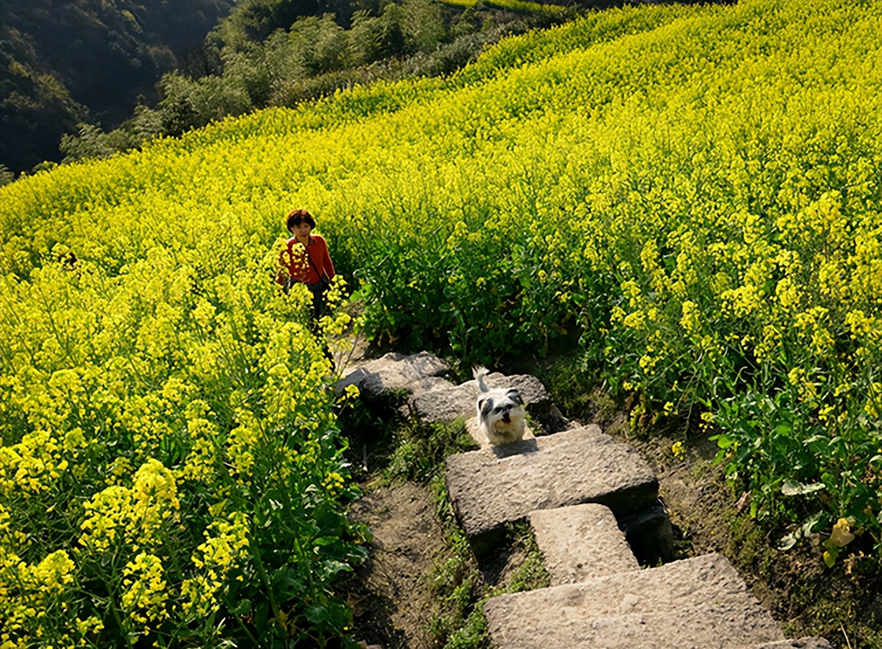 春分节气的民间习俗及禁忌,春节习俗讲解