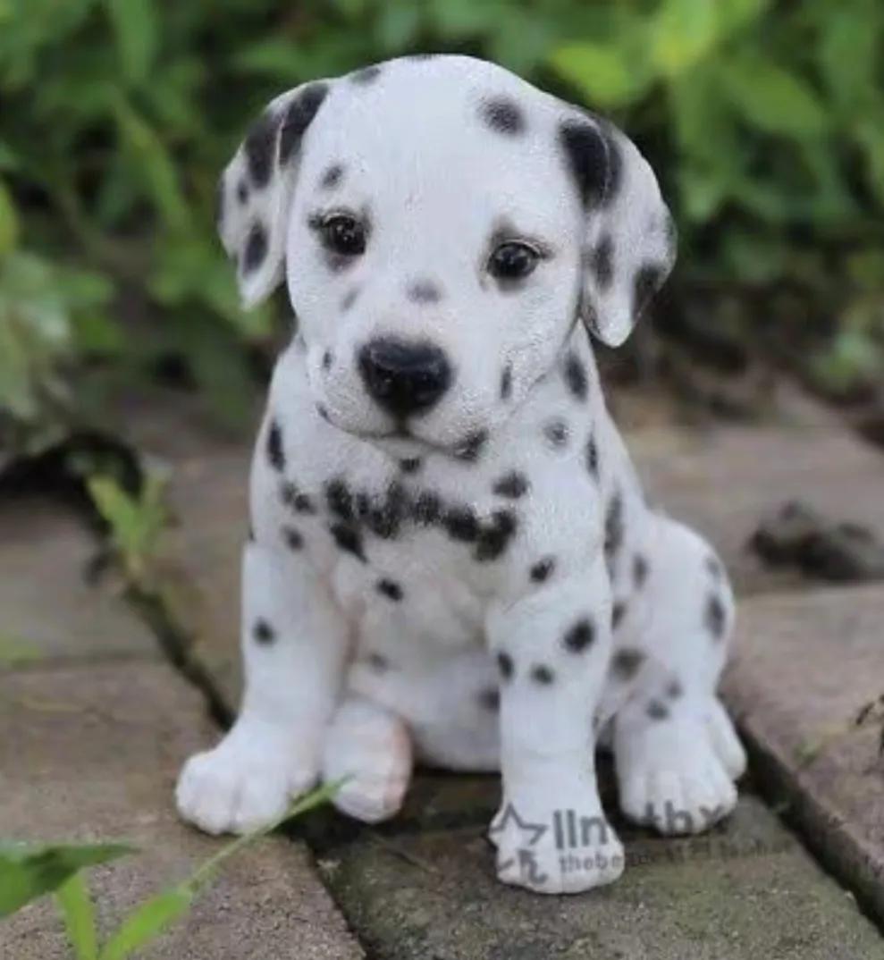 宝贝花斑舌怎么治疗,宝贝皮疹