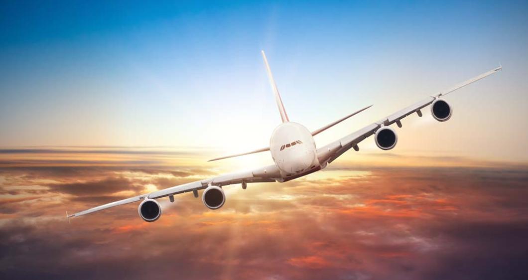 给小宠物戴氧气面罩,为什么大部分宠物都不能带进机舱