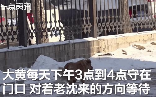 当我想起你的时候歌单,当我想起你的时候嘴角上扬