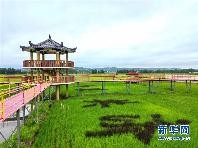 延边最出名的大米延边龙井大米,海兰江畔美景