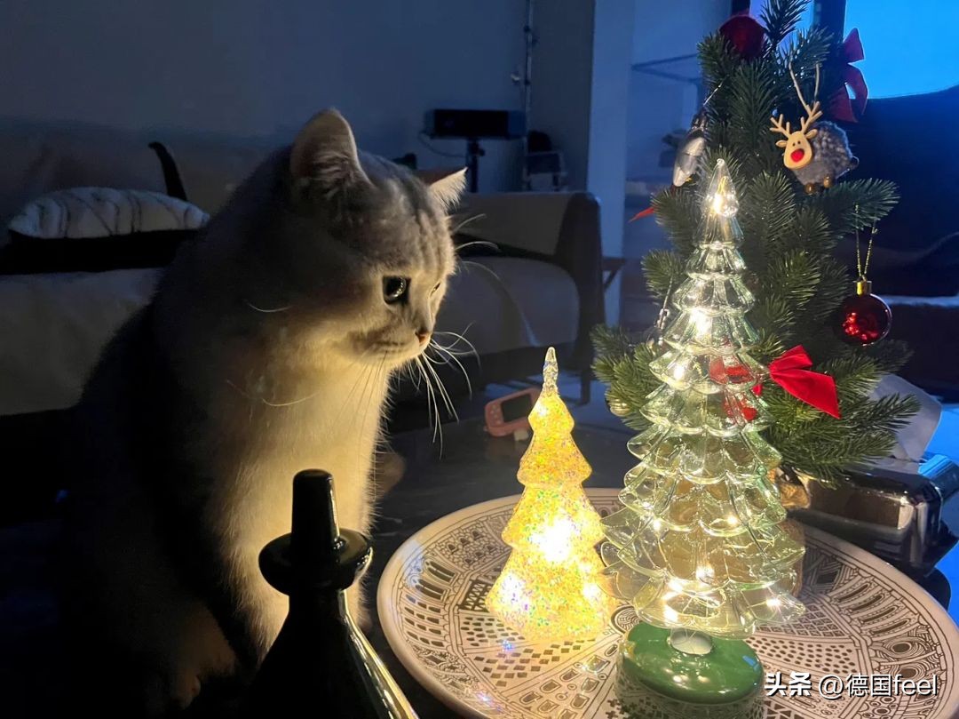 圣诞节有什么非常好看的圣诞礼物,到圣诞节了做点什么圣诞礼物呢