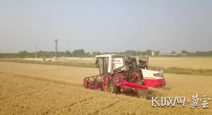 关于盐碱地特色农业的工作信息,盐碱地治理乡村振兴发展的新模式