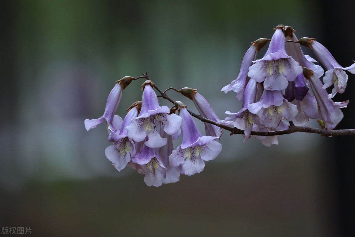 古诗词里关于友谊的唯美诗,8首友谊诗词