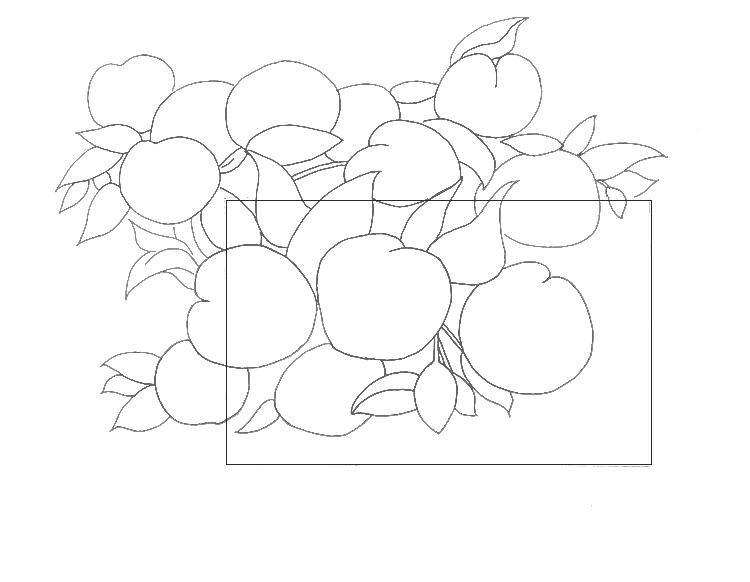 桃子精解说,桃子精万岁