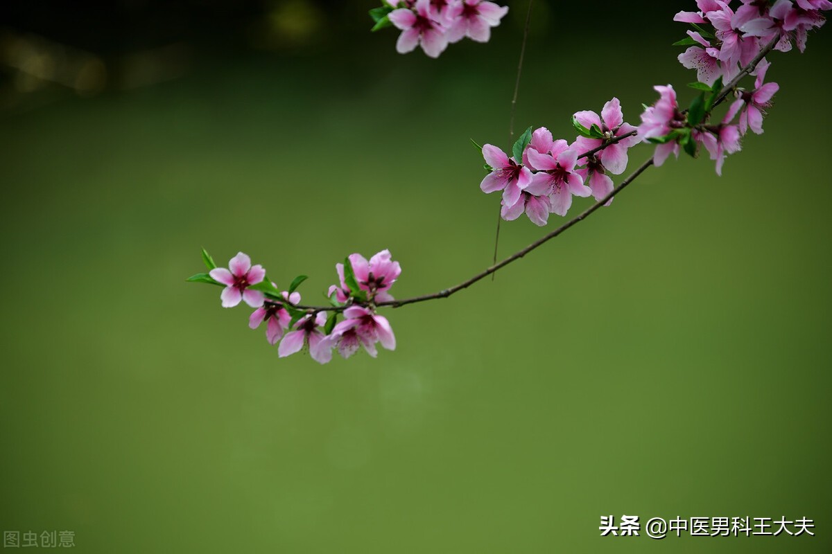 肾脉弱阳气虚体虚怎么调理,脾气不固肾虚湿重怎么调