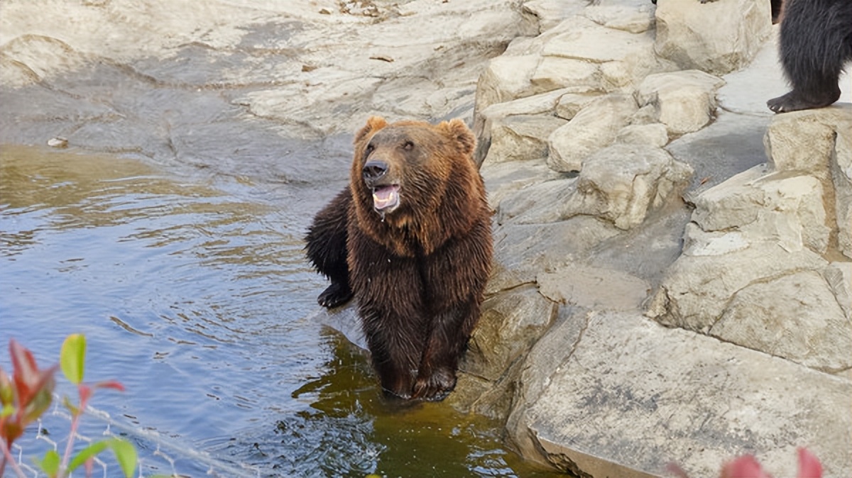 在江苏的“绿林仙海”中，寻找侠气与柔情