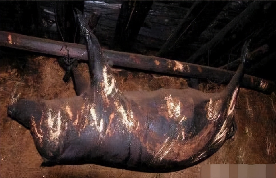 十大最无法想象的黑暗料理,中国各种顶级黑暗料理