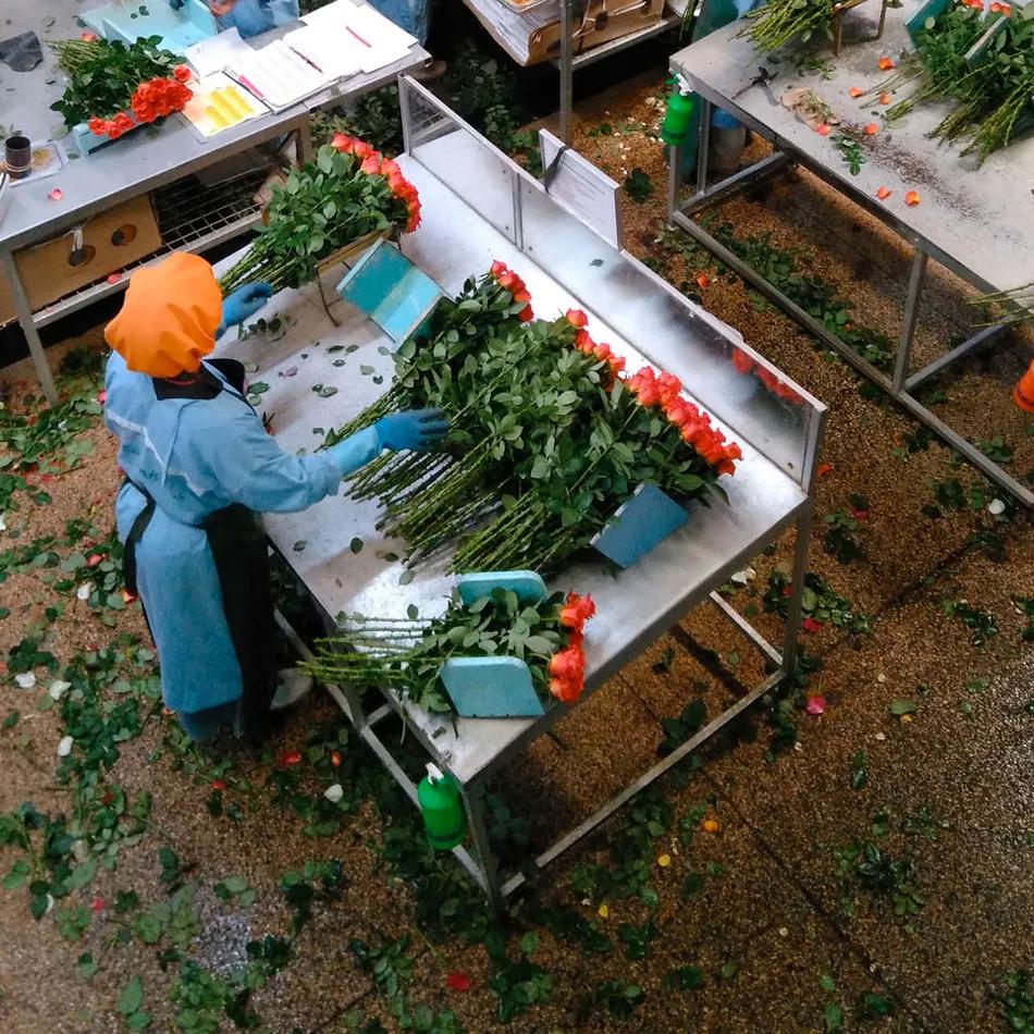 受全球疫情影响经济怎样,受疫情影响全球经济出现危机