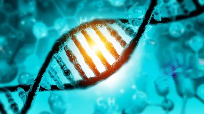 胎停育怎么干预,胎停育怎么处理最安全