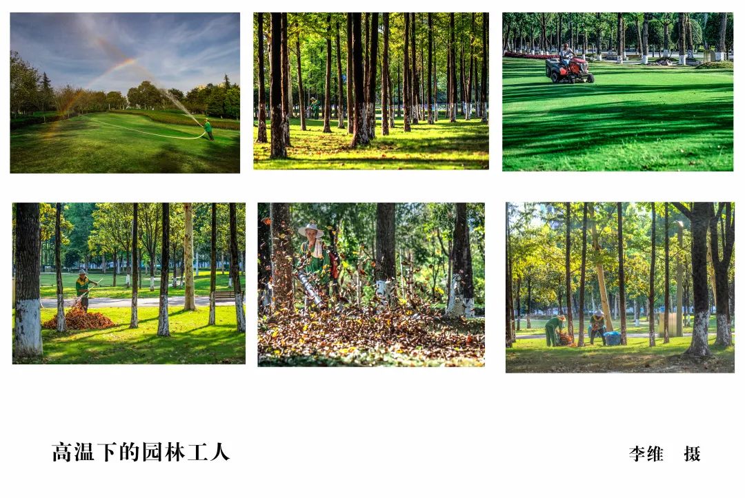 一半风景,一半风景一半繁华