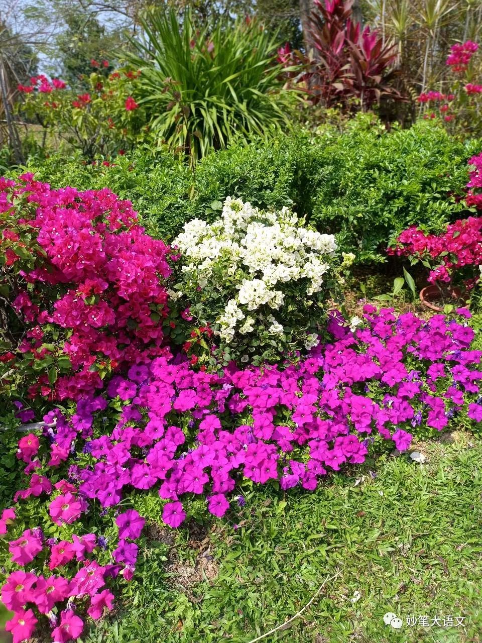 二十年后的母校300字,二十年后的母校500字优秀作文