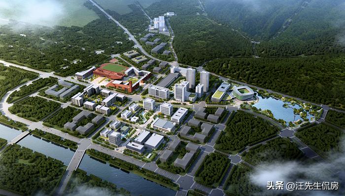 南京青龙地铁小镇不利因素,南外仙林分校青龙地铁小镇