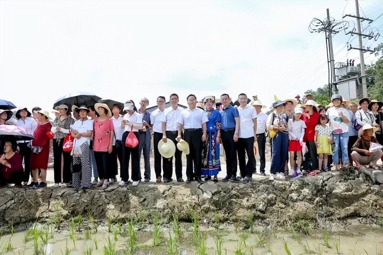 乡村振兴新模式：乡贤共享农田；盒马探索农业可持续发展