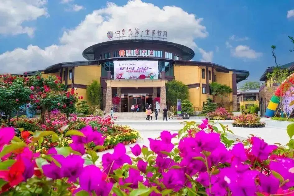 免票最新信息,半价免票规则