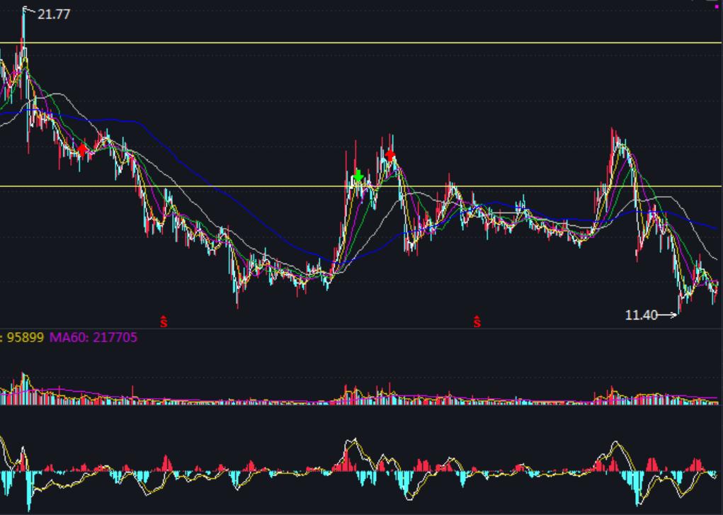 随心动含义,随心意交易软件怎么样