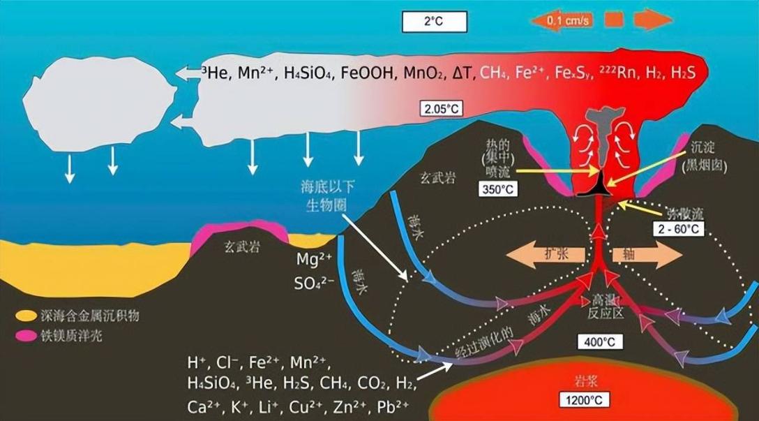 热液盲虾生活在450℃海底热泉旁，数量惊人，能不能用来烫火锅？