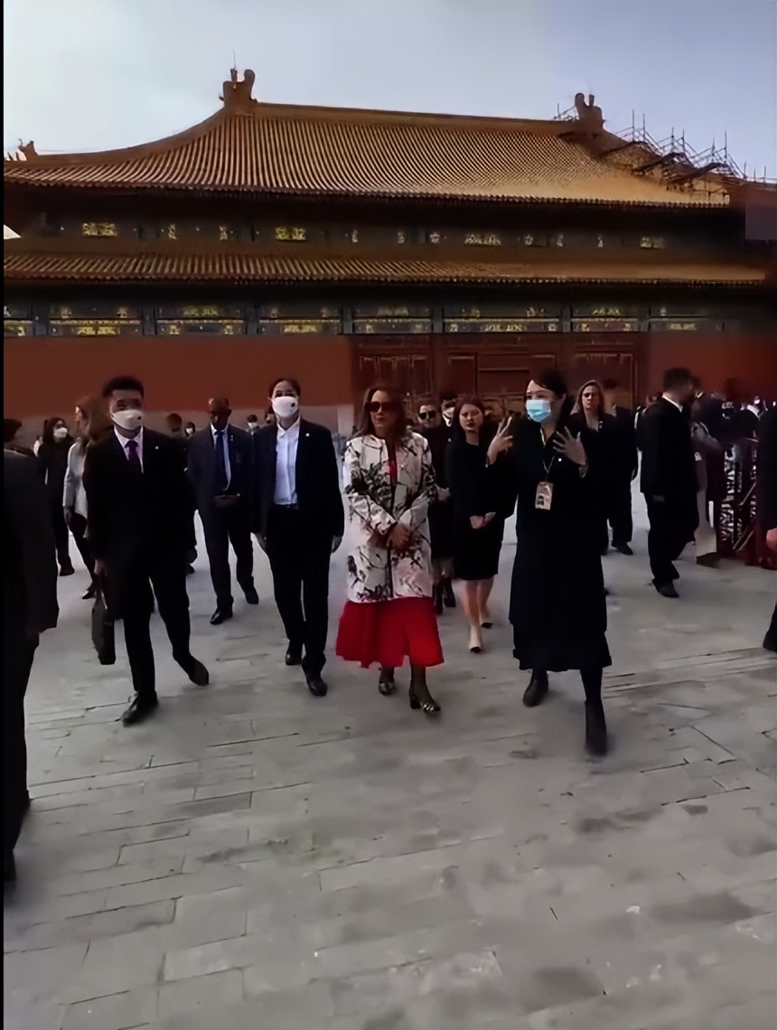 巴西第一夫人写真,巴西第一夫人