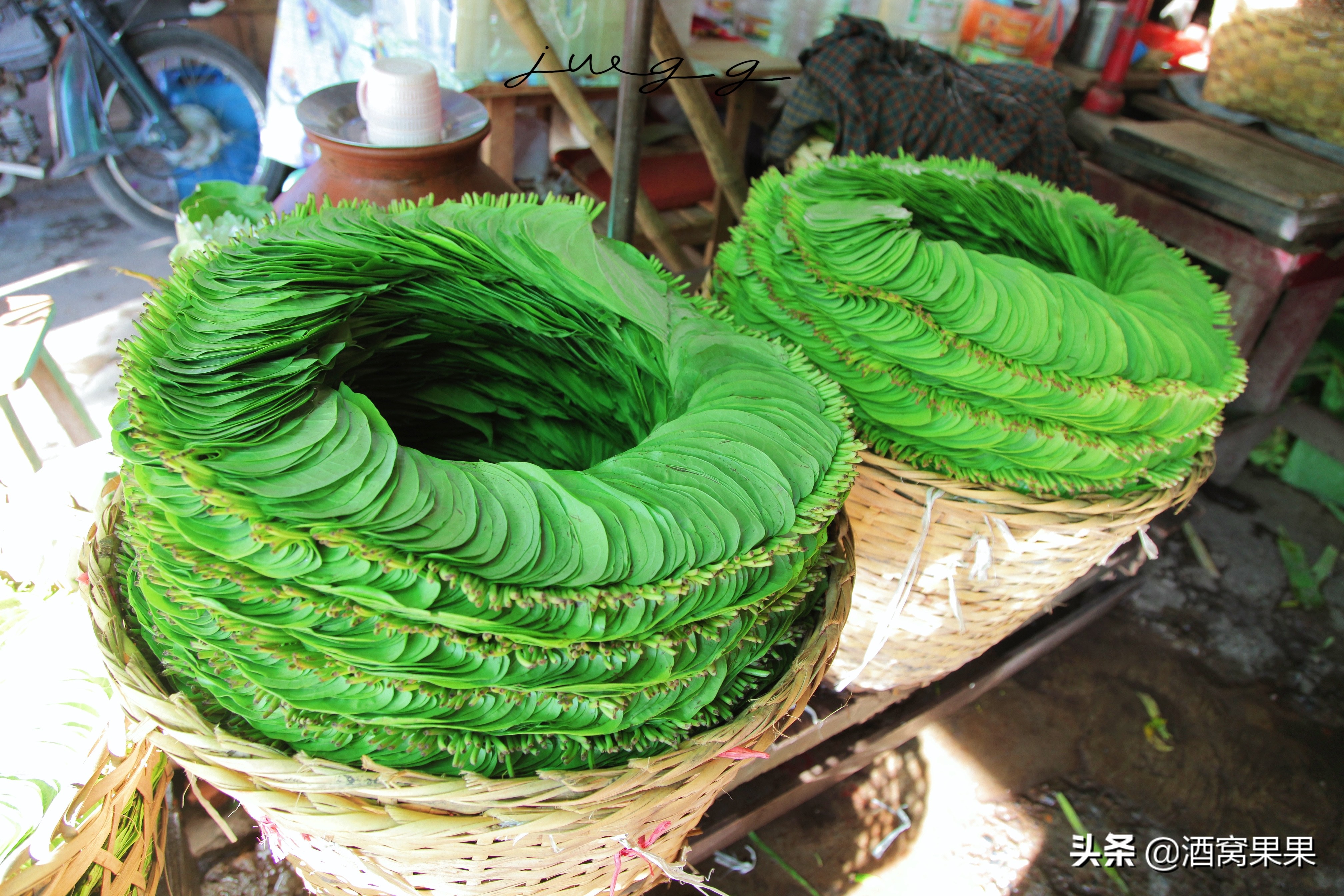 缅甸是一个什么样的国家,缅甸这个国家介绍