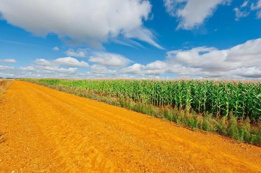 农业养老补贴政策,农业养老补助