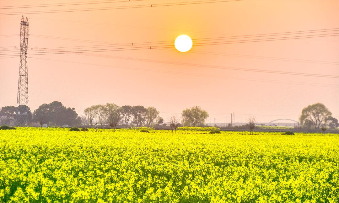 最美婺源油菜花跟风来一下,苏州自驾到婺源看油菜花的地方