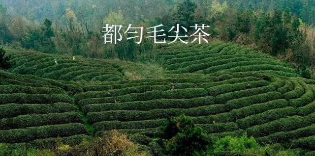 贵州毕节娶媳妇彩礼一般是多少,贵州贞丰县农村结婚彩礼多少钱