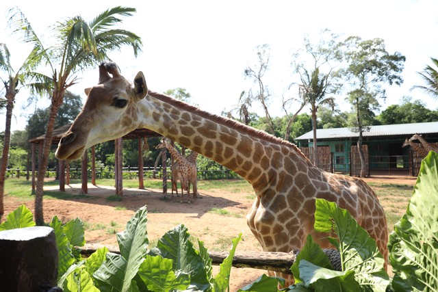 大美海口旅游,玩转海南岛