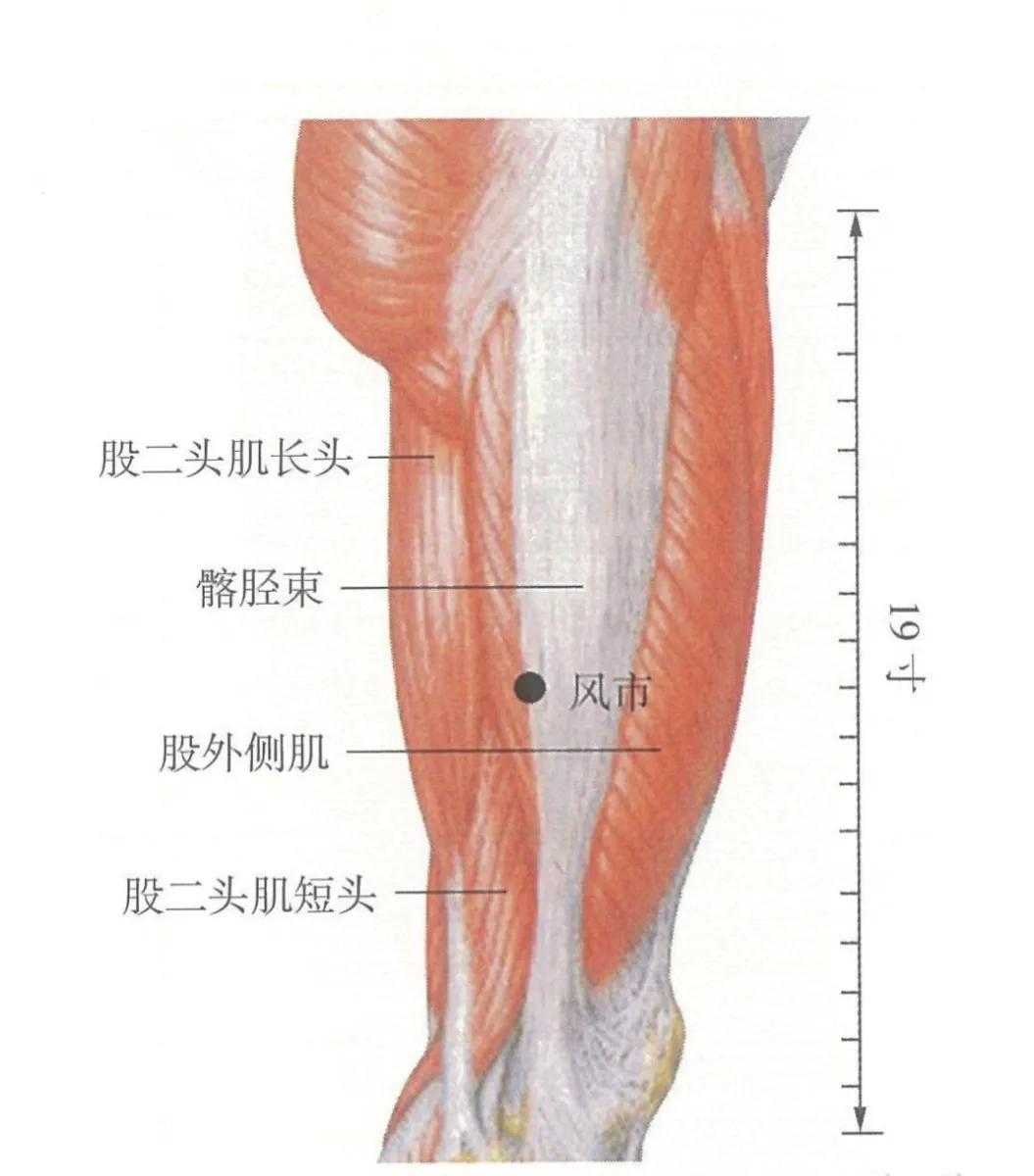 哪个穴位治疗风邪偏盛,风邪皮痒针刺哪个穴