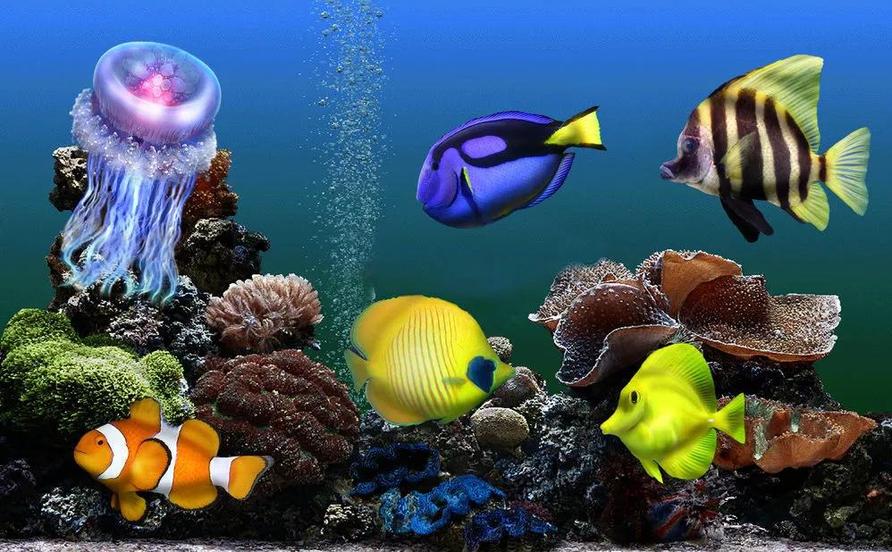 海底奇妙世界图片,海底世界的图片