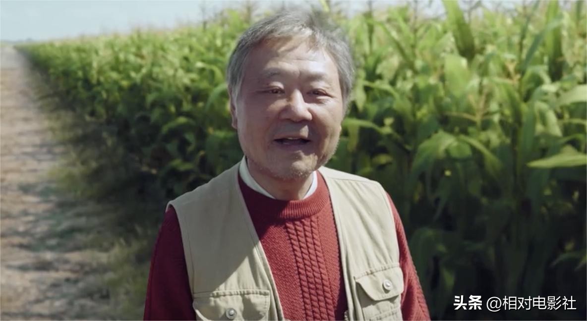 2023年哪些剧值得推荐,2023必看十部剧