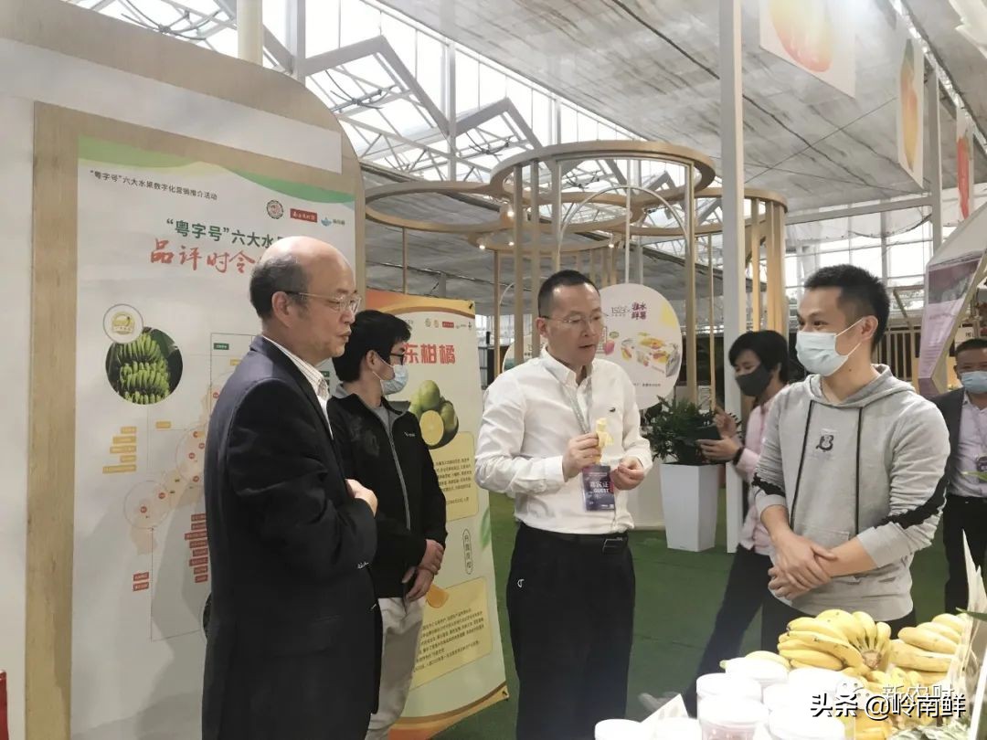 好产品卖到哪才有高溢价？广东种博会“粤字号”六大水果又火了