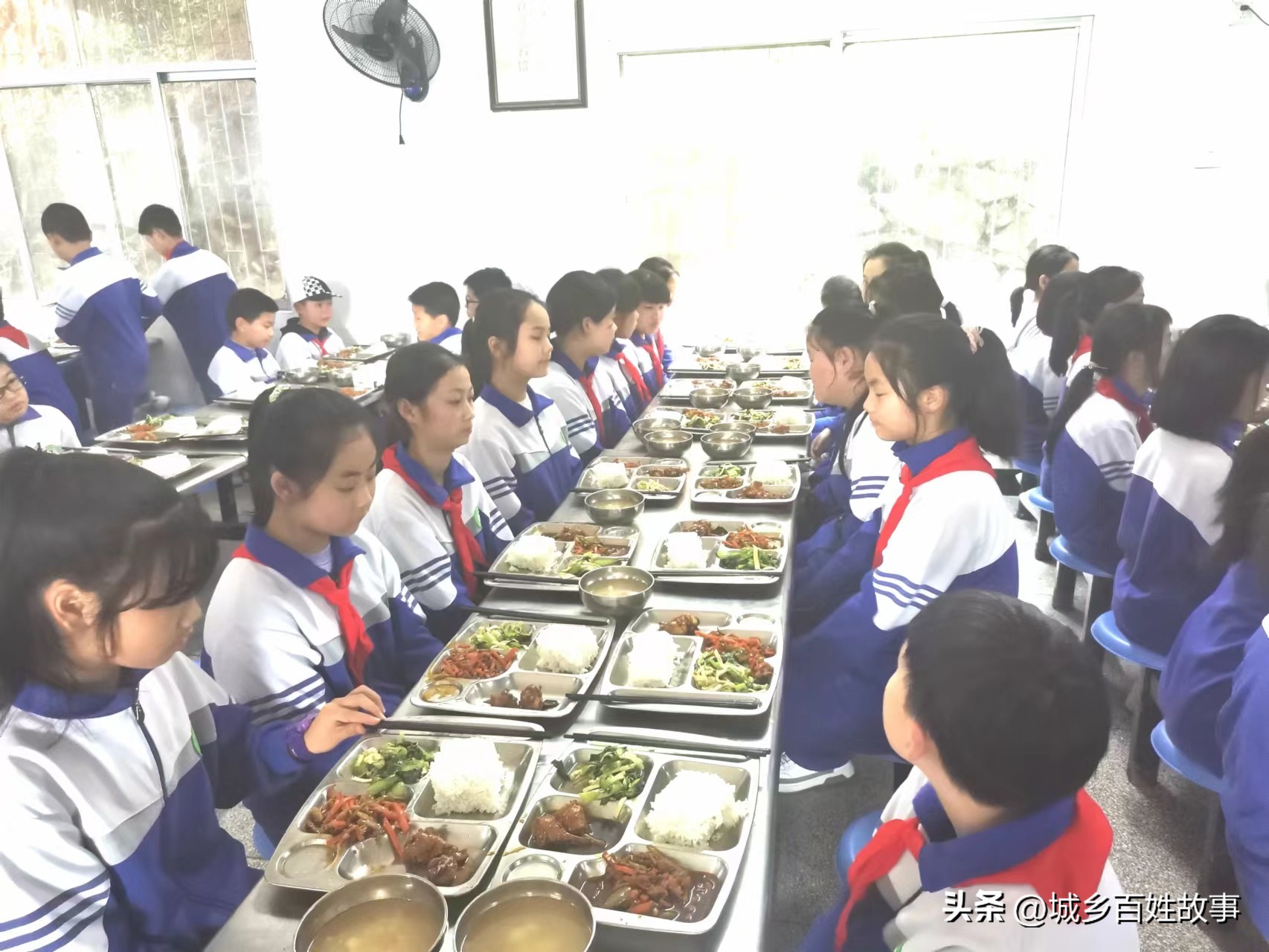 英山县彭畔综合训练实践基地,春水镇实验小学综合实践活动