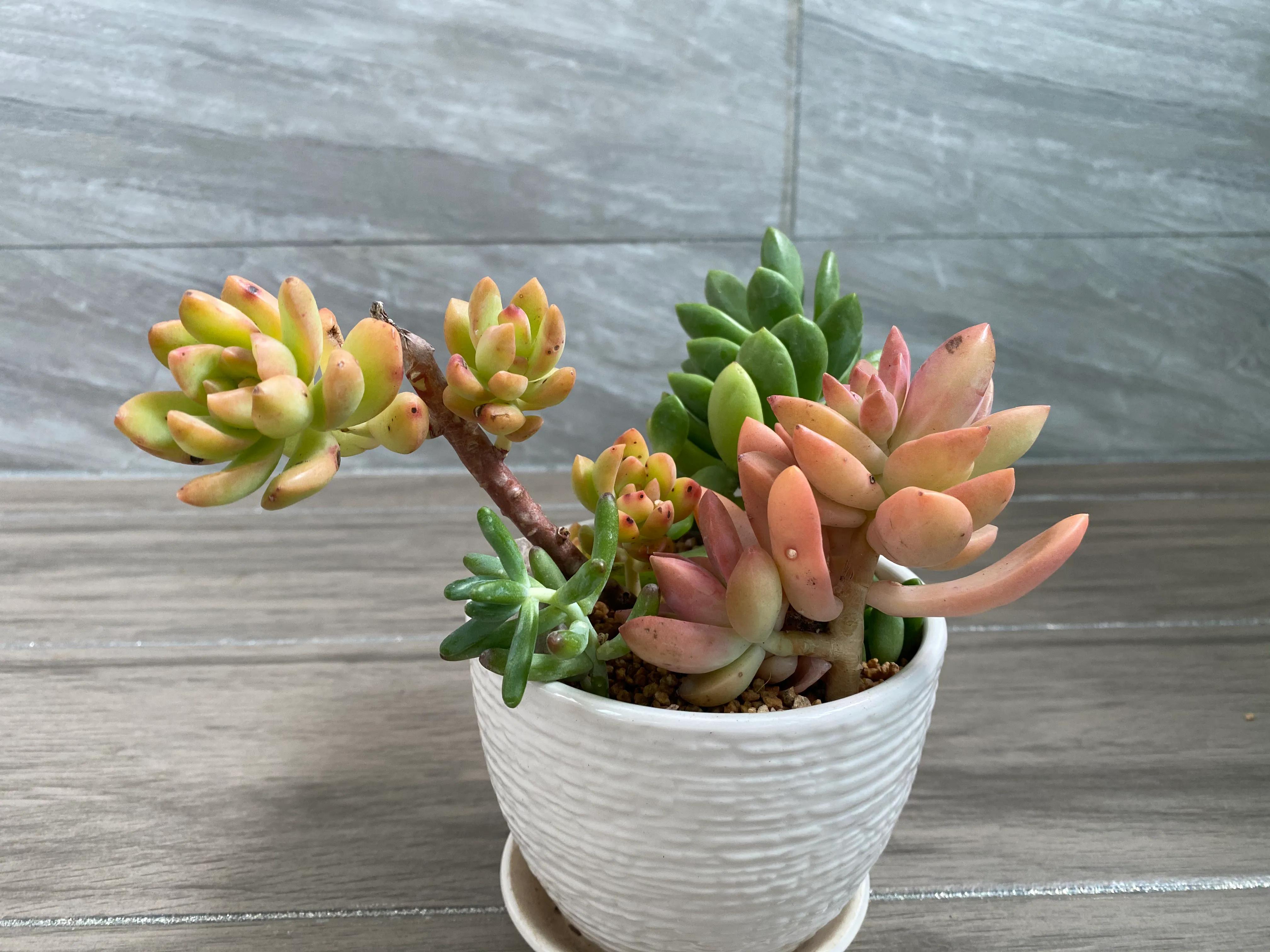 五月的颜色作文,五月的颜色对照表