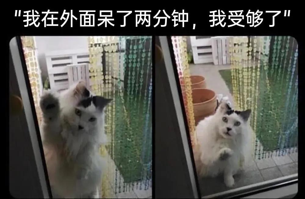 lifeme搞笑图片,月初月末搞笑图片