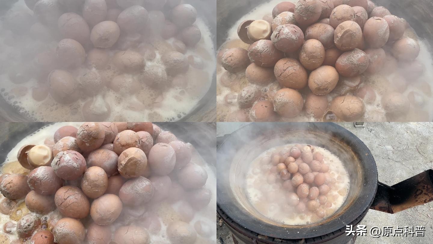 有哪些特色美食只有当地人才知道,全国各地的奇葩美食