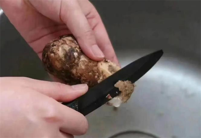 鲜松茸怎么处理清洗保存,新鲜松茸如何清洗视频
