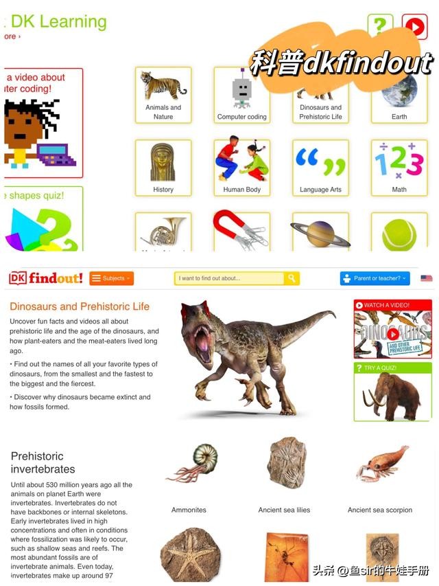 培训机构不想让你知道的学习网站,全国小学免费培训网站