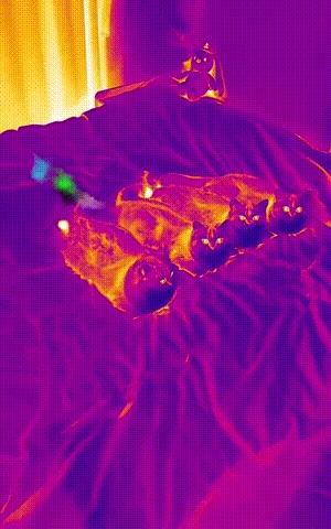 姑娘这么可爱竟然当保安，大叔都忍不住多看两眼，太屈才了: