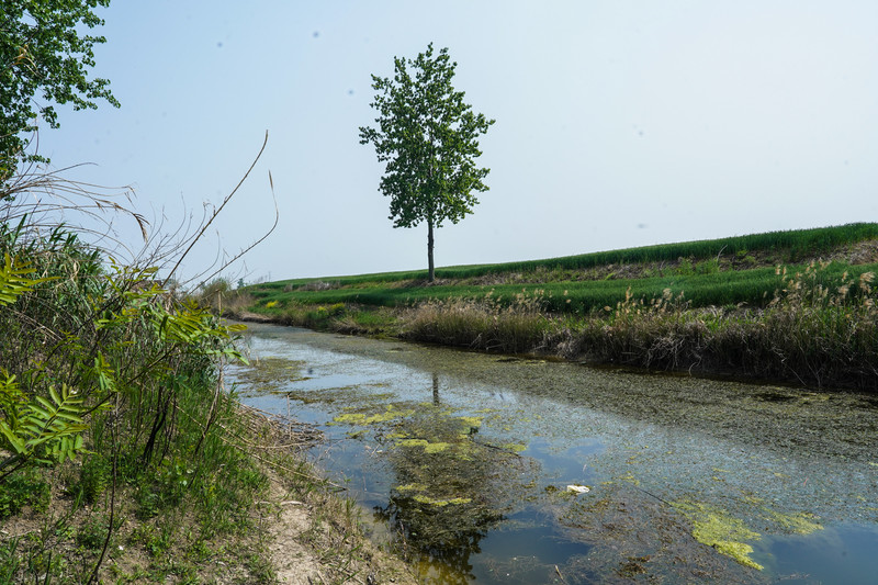 宿州景点哪里好玩一日游,宿州小众打卡