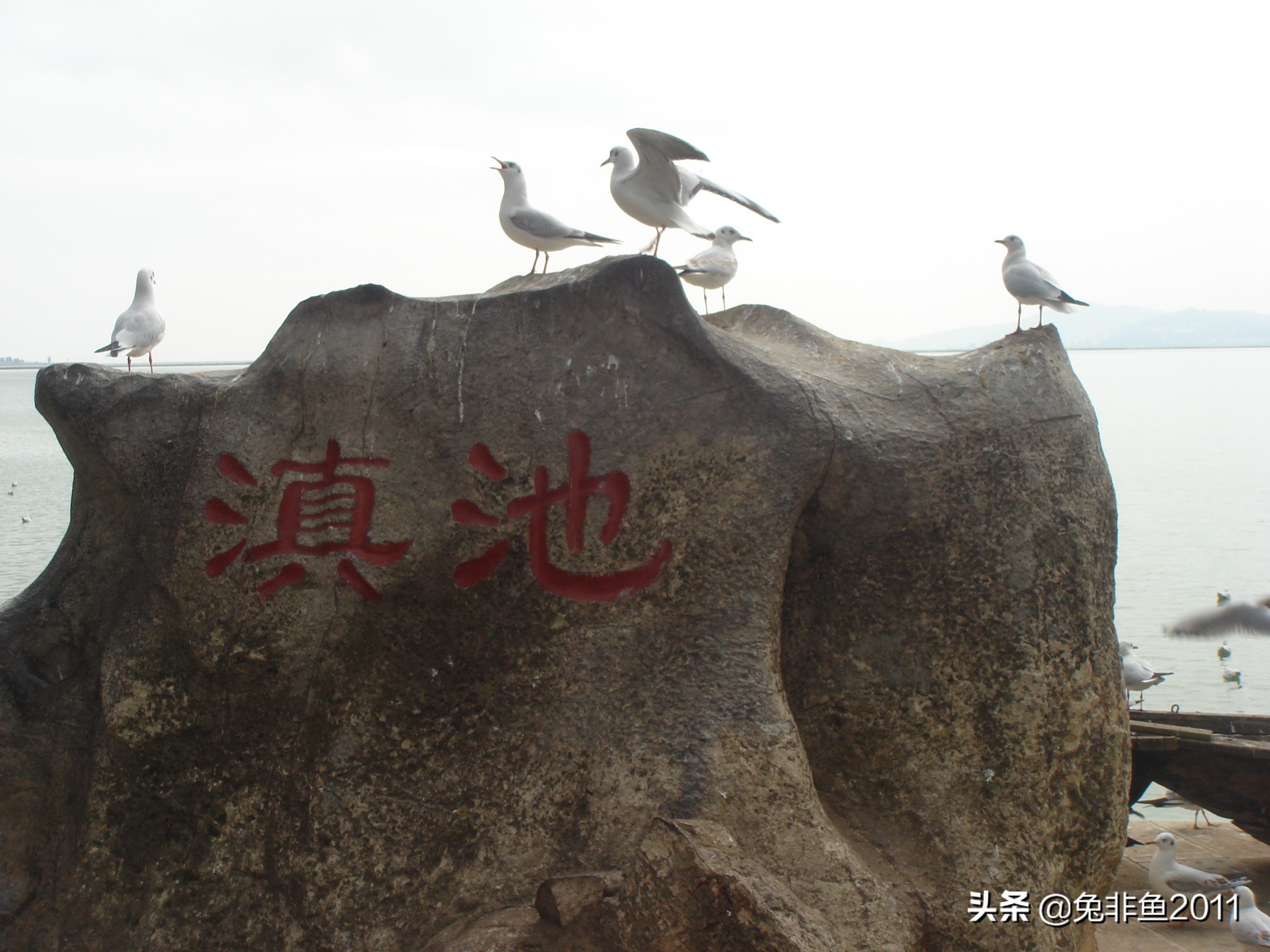 云南腾冲滇峰之旅,云南瑞丽中缅边境一日游