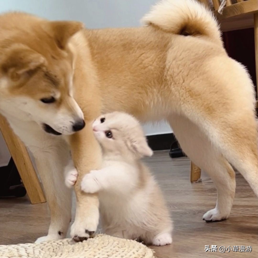 最美的旅行目的地推荐,国内最适合情侣旅行的十个目的地