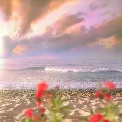 微信朋友圈背景图高清,最新微信素材大全