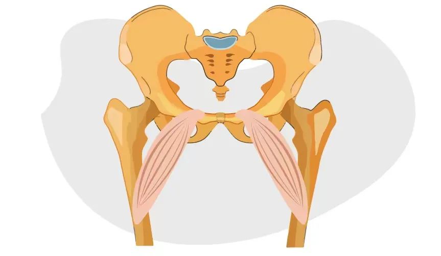 孕晚期不会耻骨痛是没有入盆吗,孕晚期耻骨痛是胎儿入盆了么