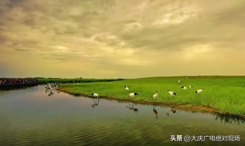 城市嘉年华庆典,城市嘉年华主题