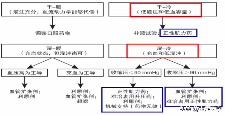 急性心力衰竭的诊断和治疗课件,急性心力衰竭指南