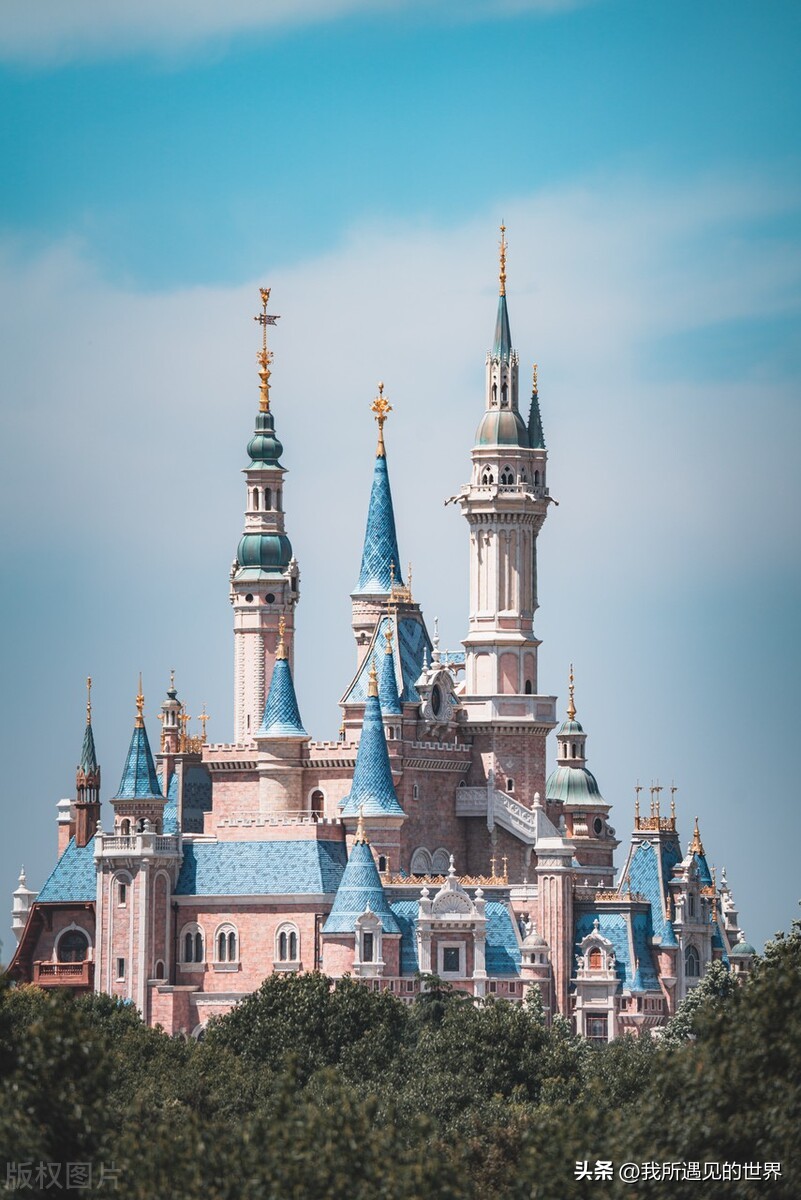 涓婃捣绻佽姳鎵撳崱鏅偣,涓婃捣鎵撳崱鏅偣