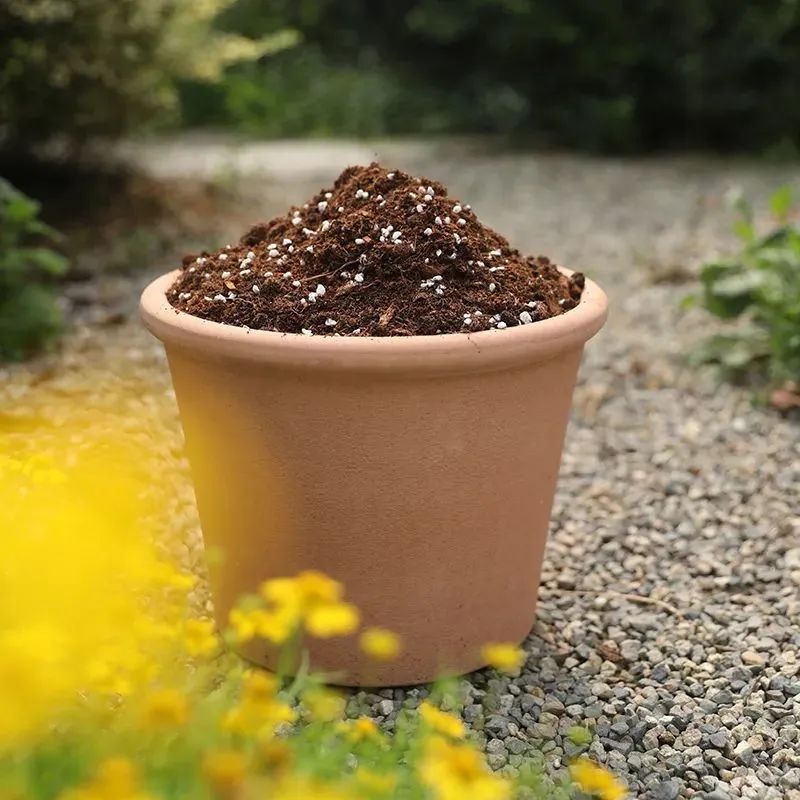 封闭阳台怎么养花技巧视频,封闭阳台养花技巧和方法