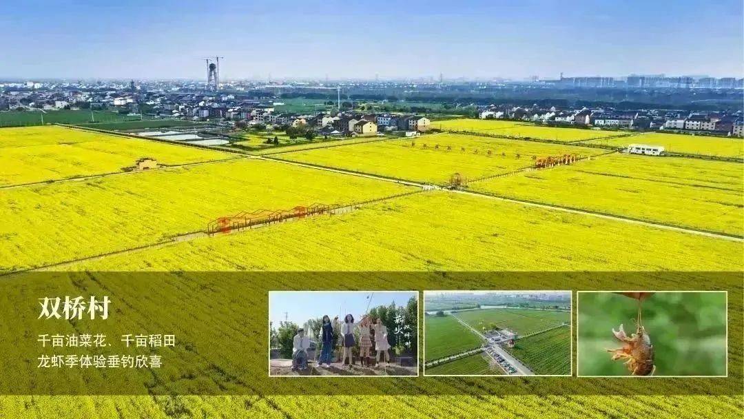 临平五一假期适合去玩的地方,杭州临平区五一假期